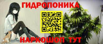 стаф Ливны