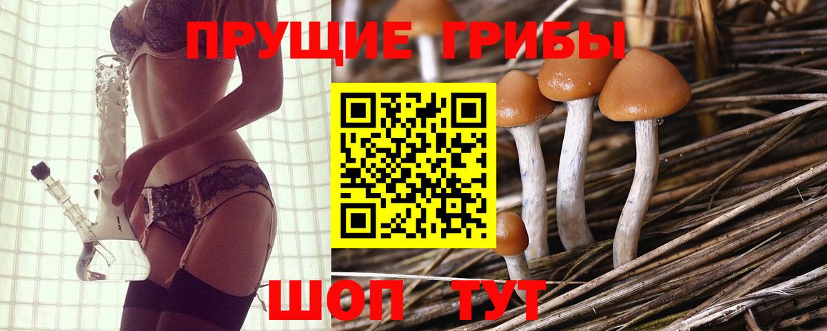 Галлюциногенные грибы Psilocybe  Вход с VPN  Чехов 